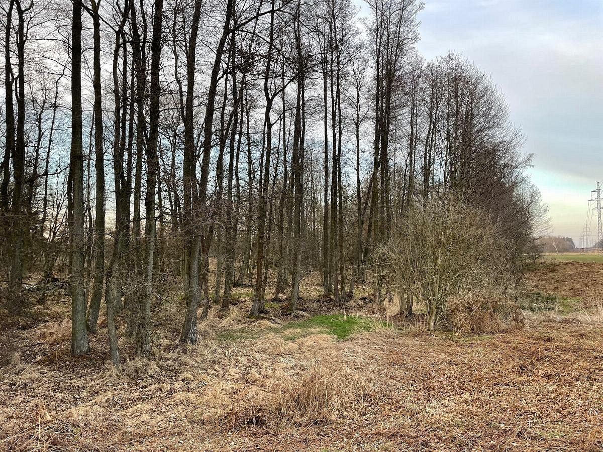 Prodej pozemek - Černá u Bohdanče, okres Pardubice, Pardubický kraj - 5