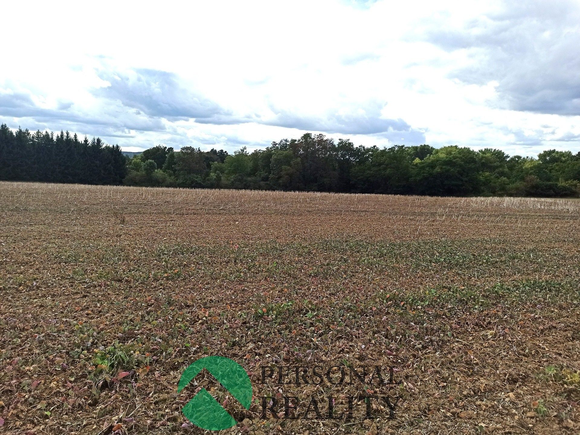 Prodej les - Krchleby