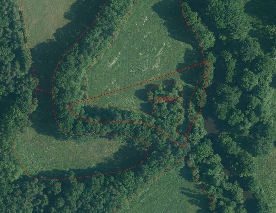 Louka · 6 591 m² · Novosedly nad Nežárkou - 4
