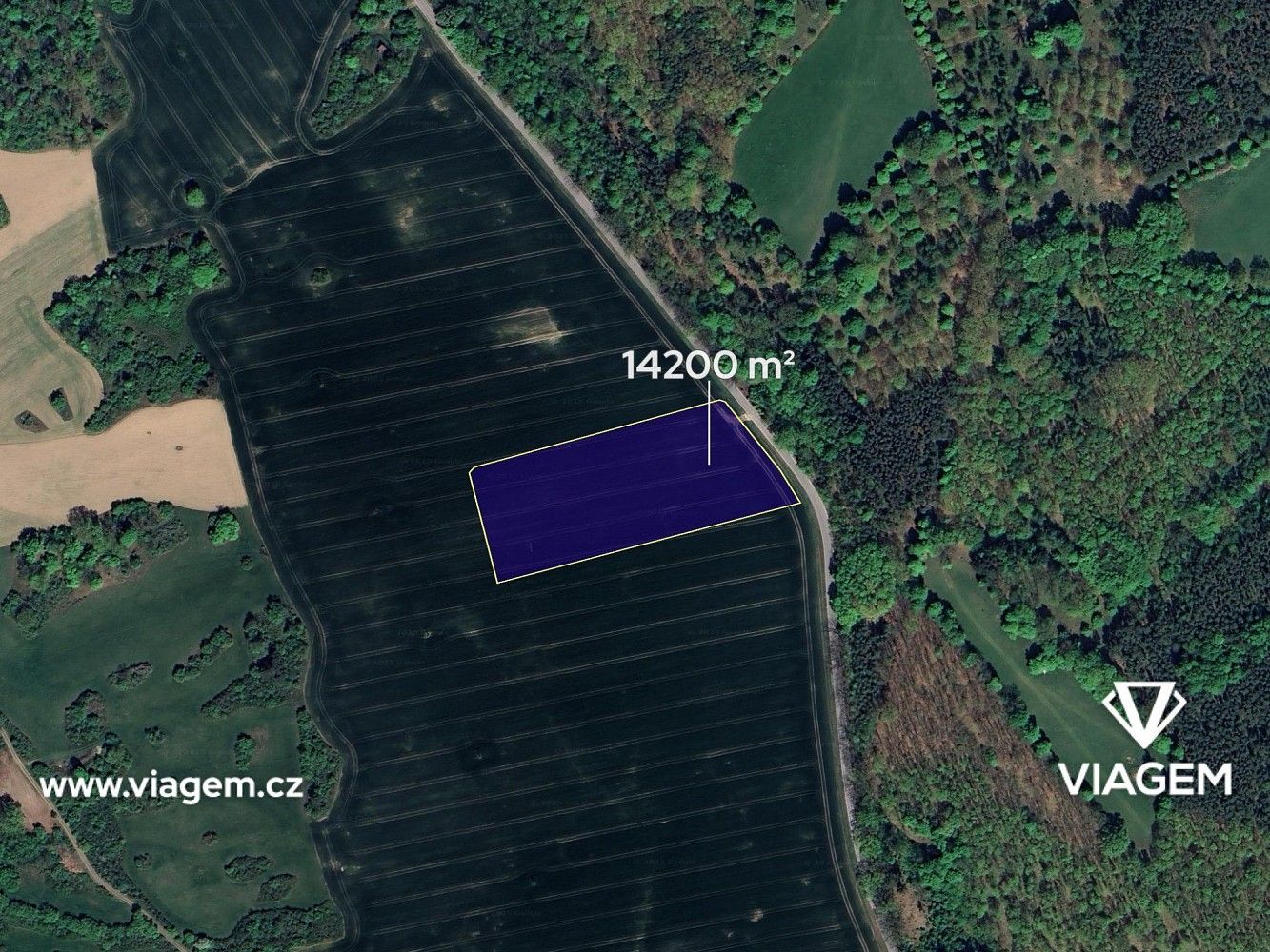 Prodej zemědělský pozemek - Dolní Heřmanice, okres Žďár nad Sázavou, Kraj Vysočina - 2