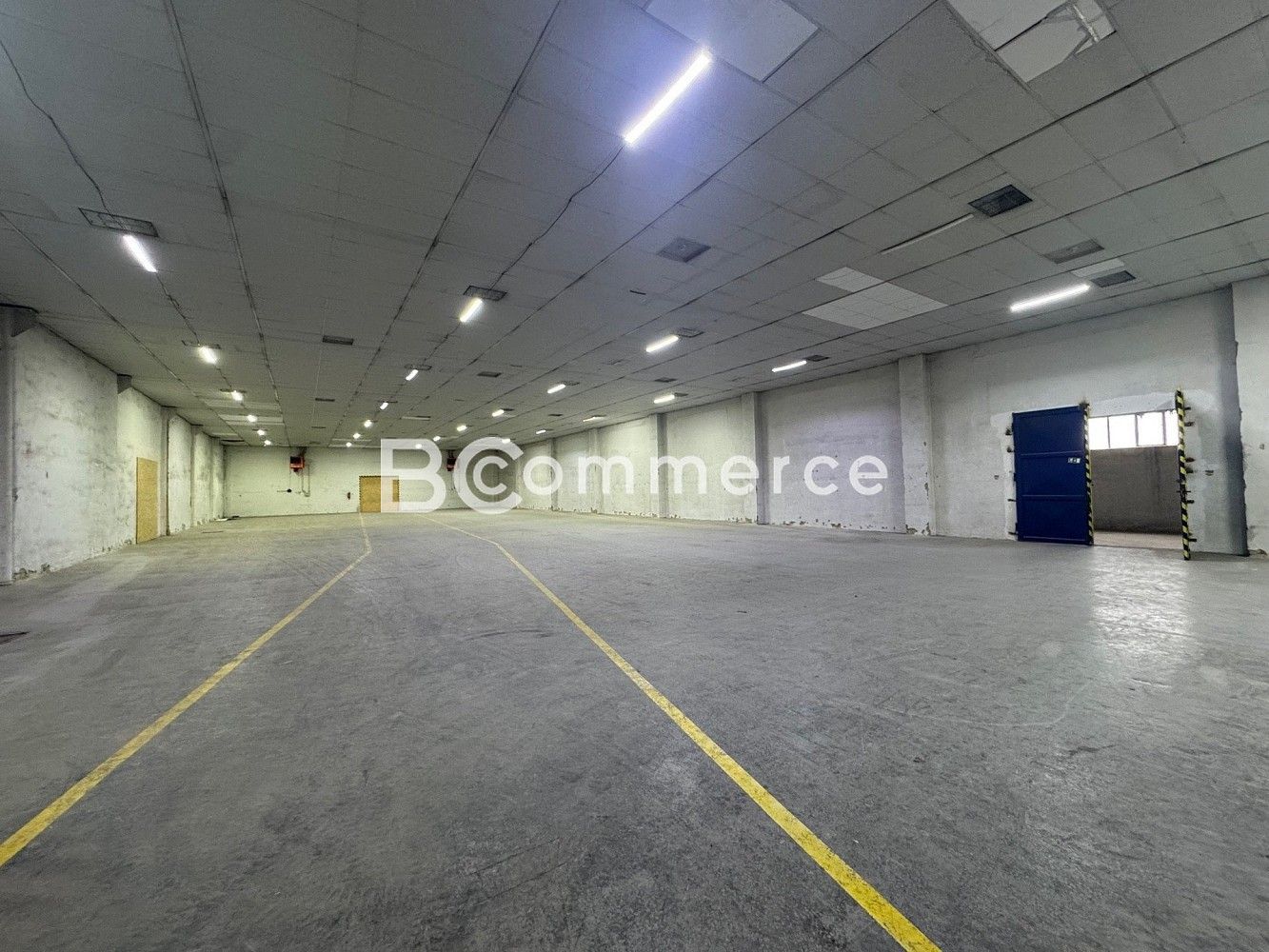 Pronájem sklad - Brno - Přízřenice, okres Brno-město, Jihomoravský kraj, 1 672 m² - 2