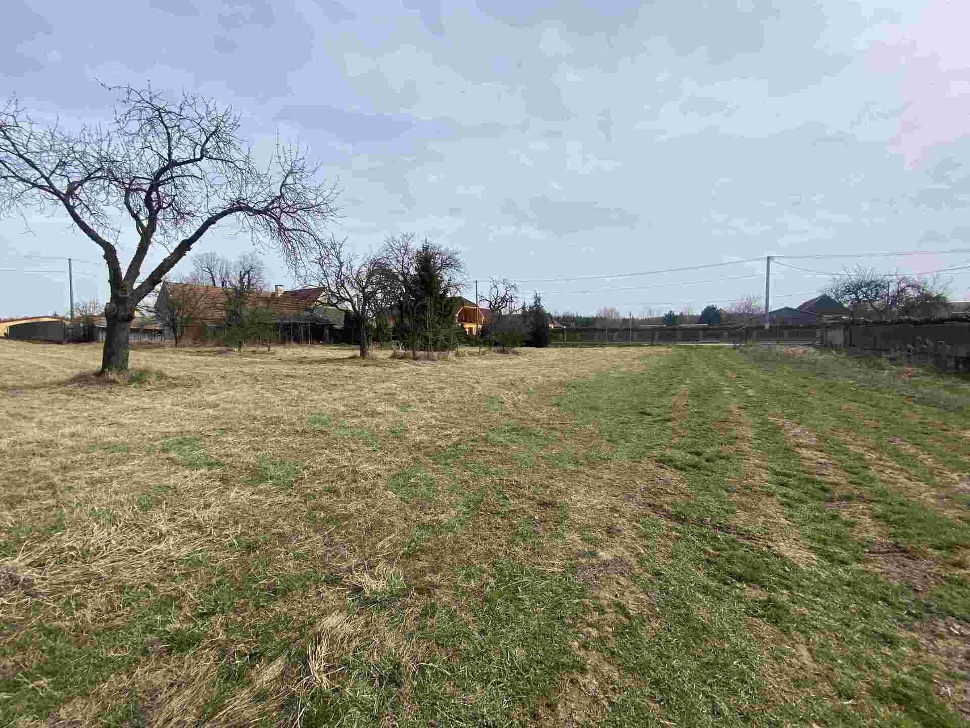 Pozemek pro bydlení · 1 254 m² · Zálesí - 3