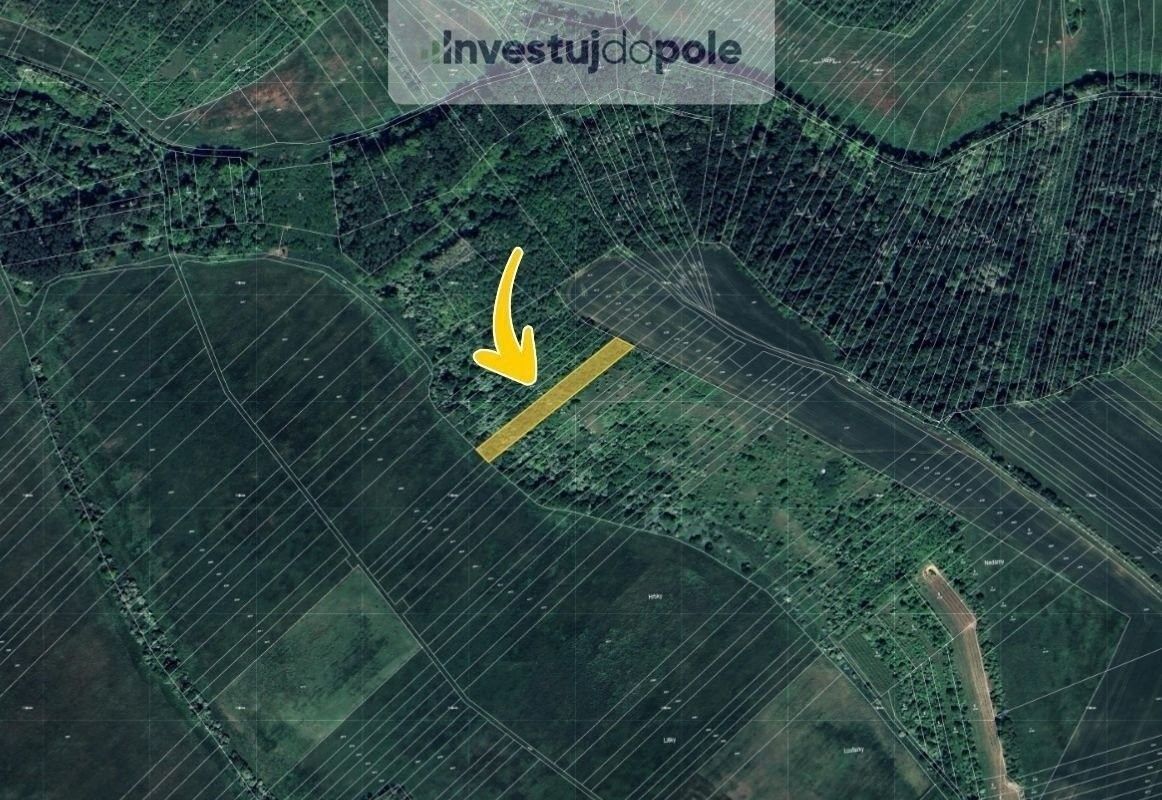 Prodej louka - Velké Němčice, 2 897 m²