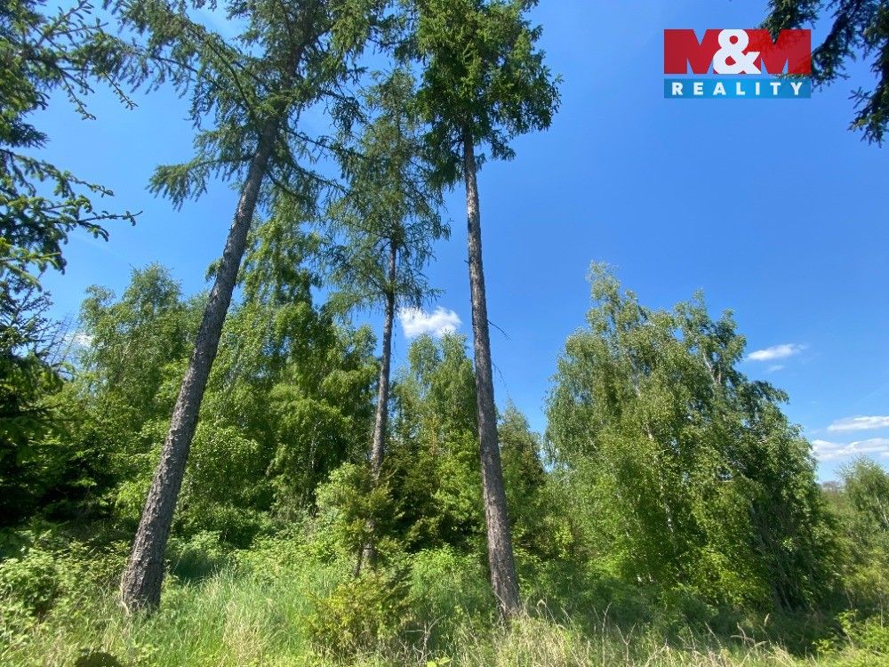 Stavební pozemek, Košátky – pohled 3