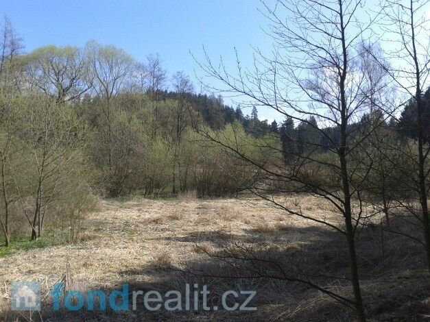 Pozemek · 4 724 m² · Hříšice Jersice - 3