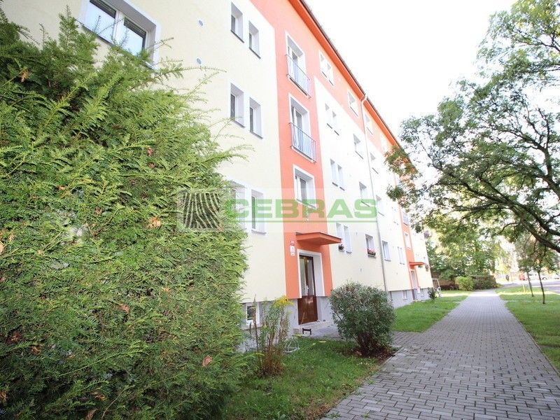 1+1, Jánošíkova, České Budějovice, 42 m²