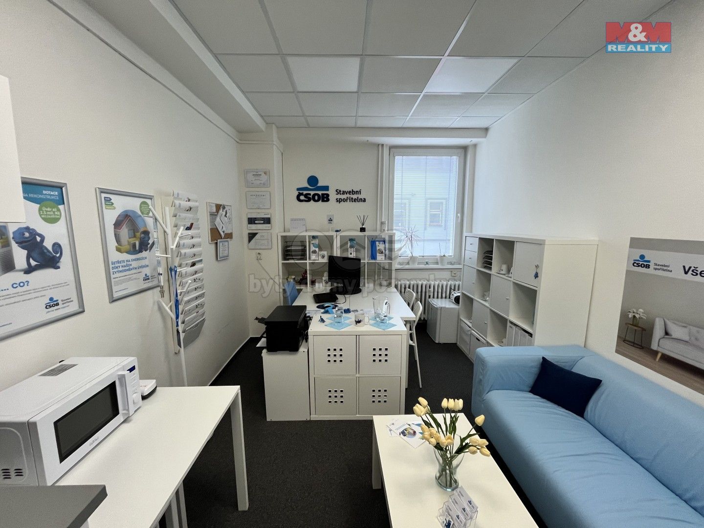 Kanceláře, Kounicova, Ostrava, 14 m²