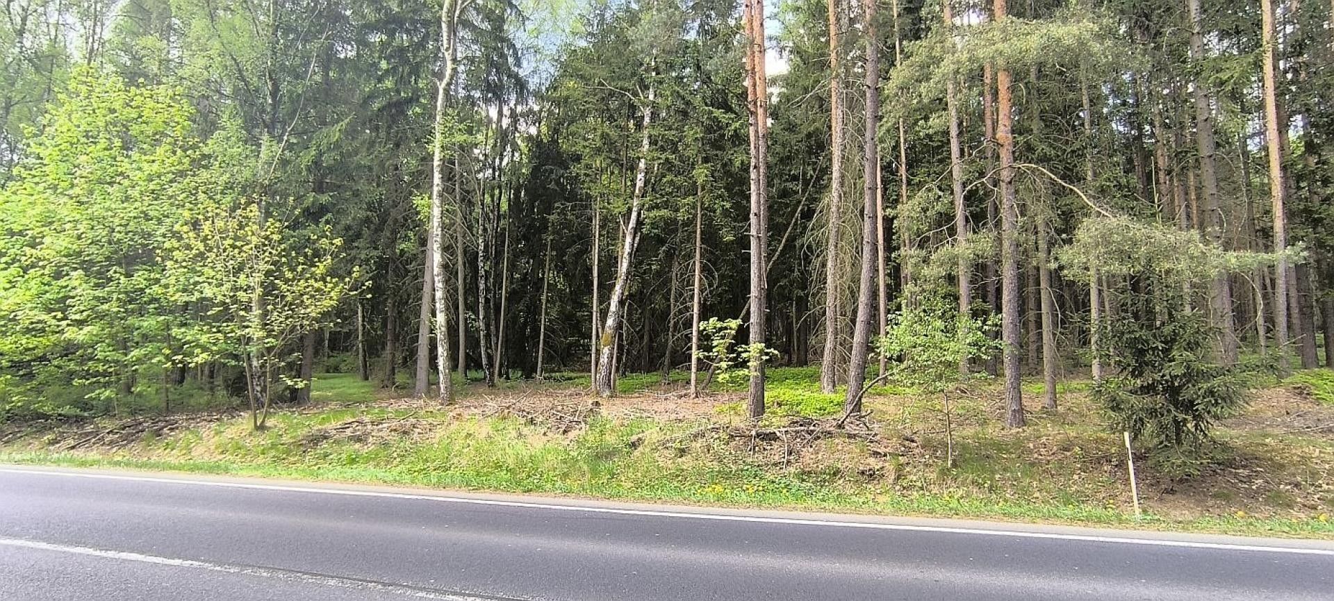 Prodej zahrada - Cheb Háje - 5
