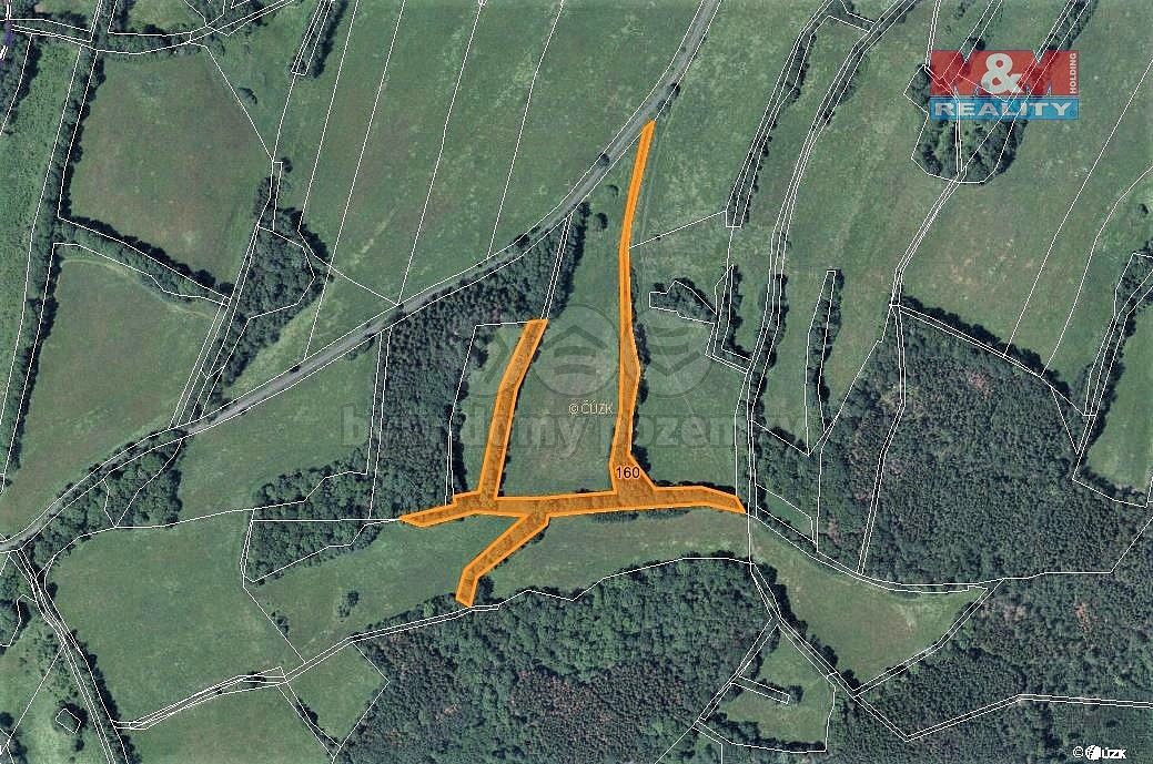 Les · Žandov, okres Česká Lípa, Liberecký kraj - 4