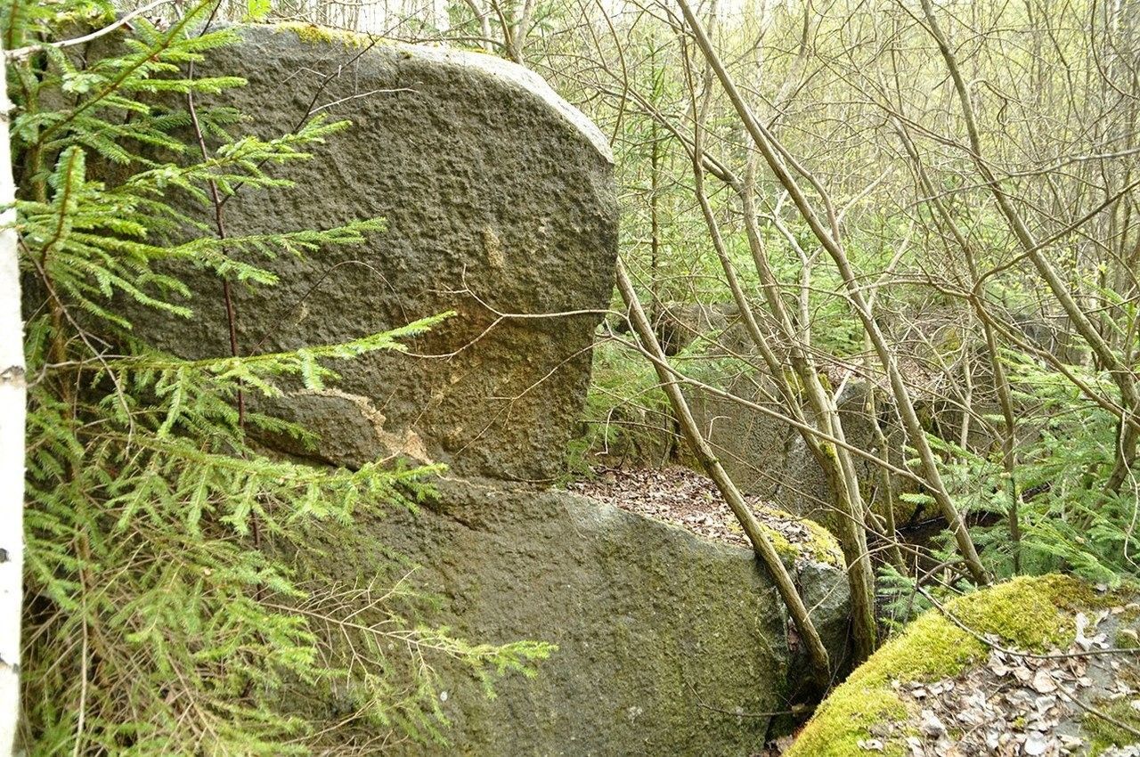 Prodej pozemek - Chodová Planá, 19 816 m²