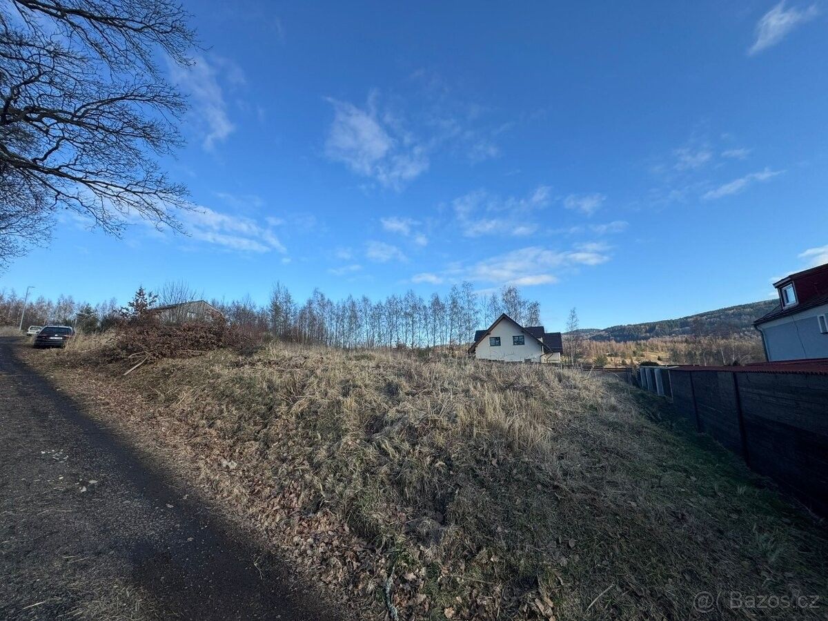 Prodej pozemek pro bydlení - Dolní Rychnov, 356 04