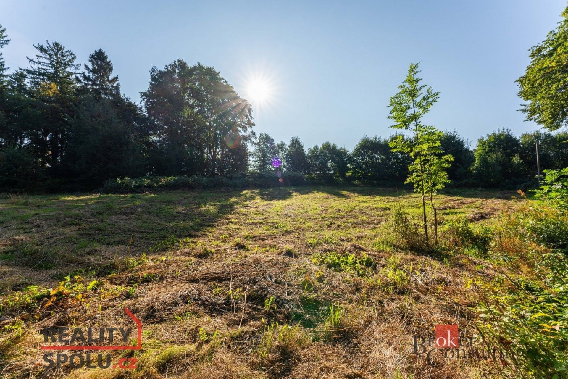 Prodej pozemek pro bydlení - Zahradní, Krásná Lípa, 3 921 m²