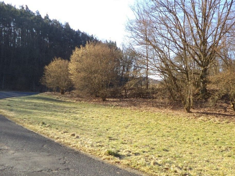 Prodej louka - Tuhaň, okres Česká Lípa, Liberecký kraj - 1