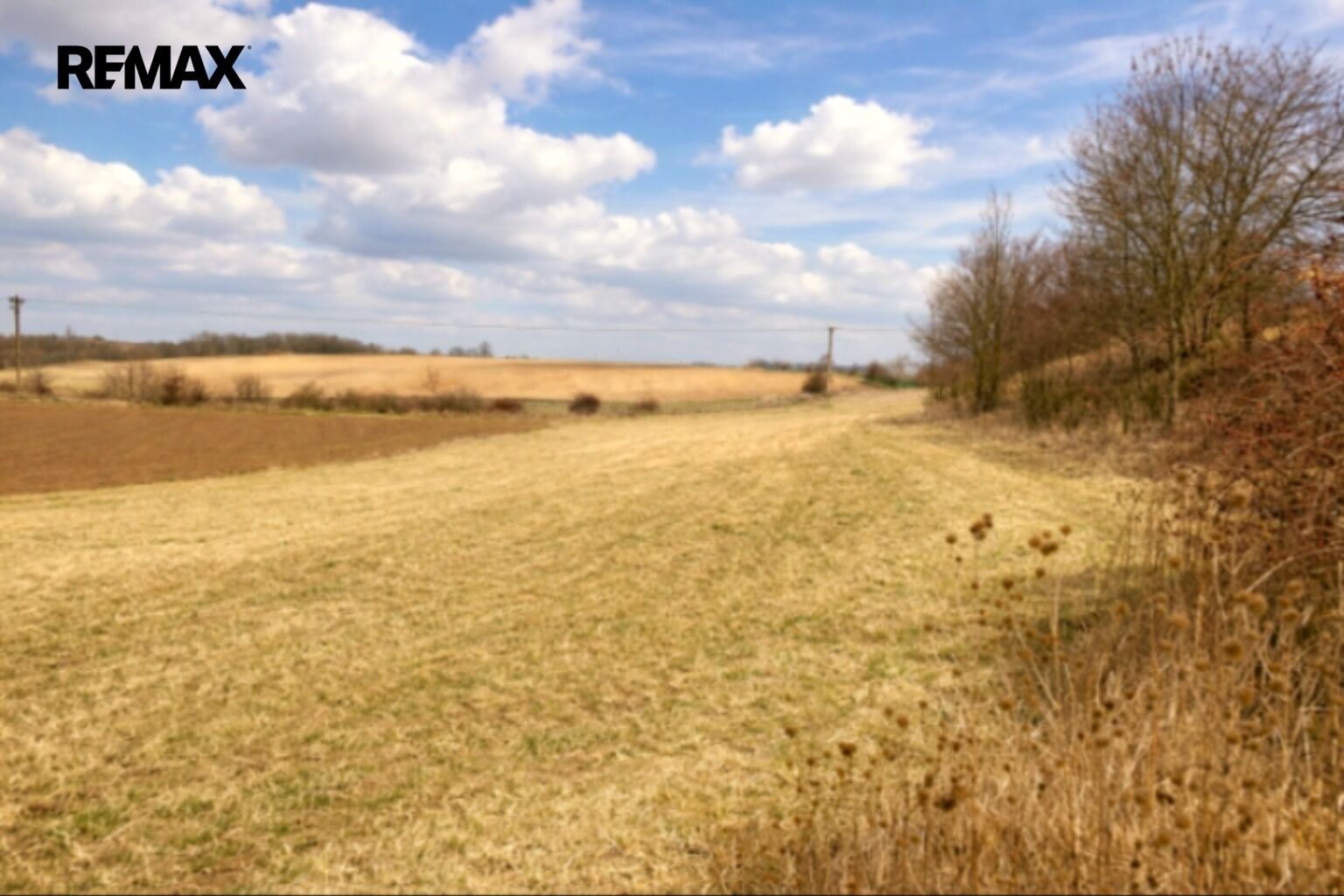 Zemědělský pozemek · 6 121 m² · Číčovice - 4