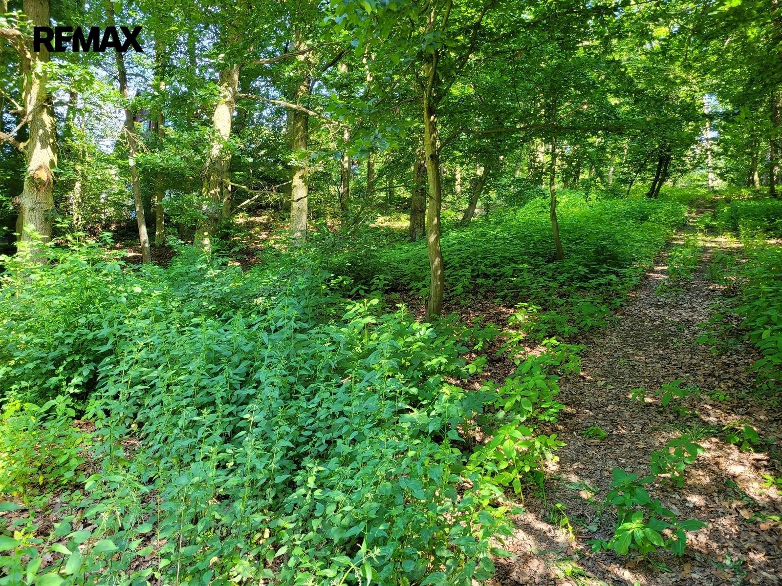 Pozemek pro bydlení · 1 246 m² · Chyňava - 4