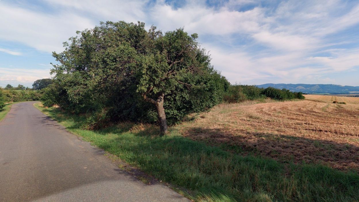 Zahrady, Horní Nětčice, 1 655 m² - 2