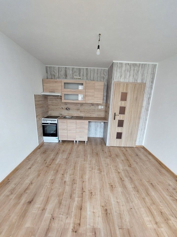 Pronájem byt 1+1 - Ladova, Severní Terasa, Ústí nad Labem, Česko, 35 m²