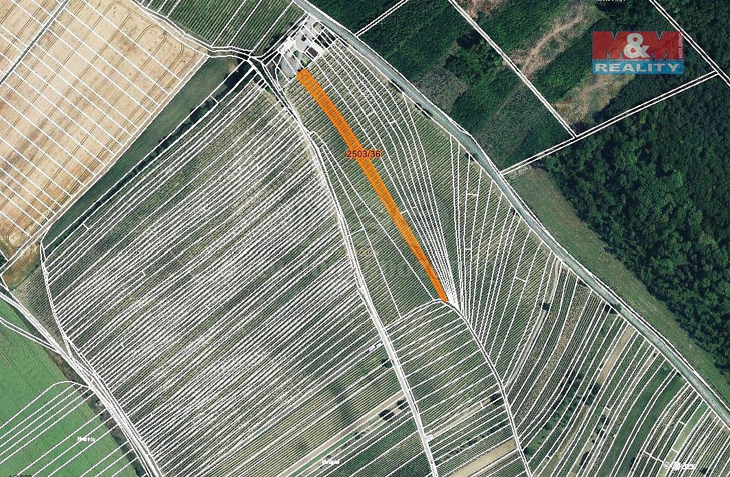 Zemědělské pozemky, Dolní Bojanovice, okres Hodonín, Jihomoravský kraj - 1