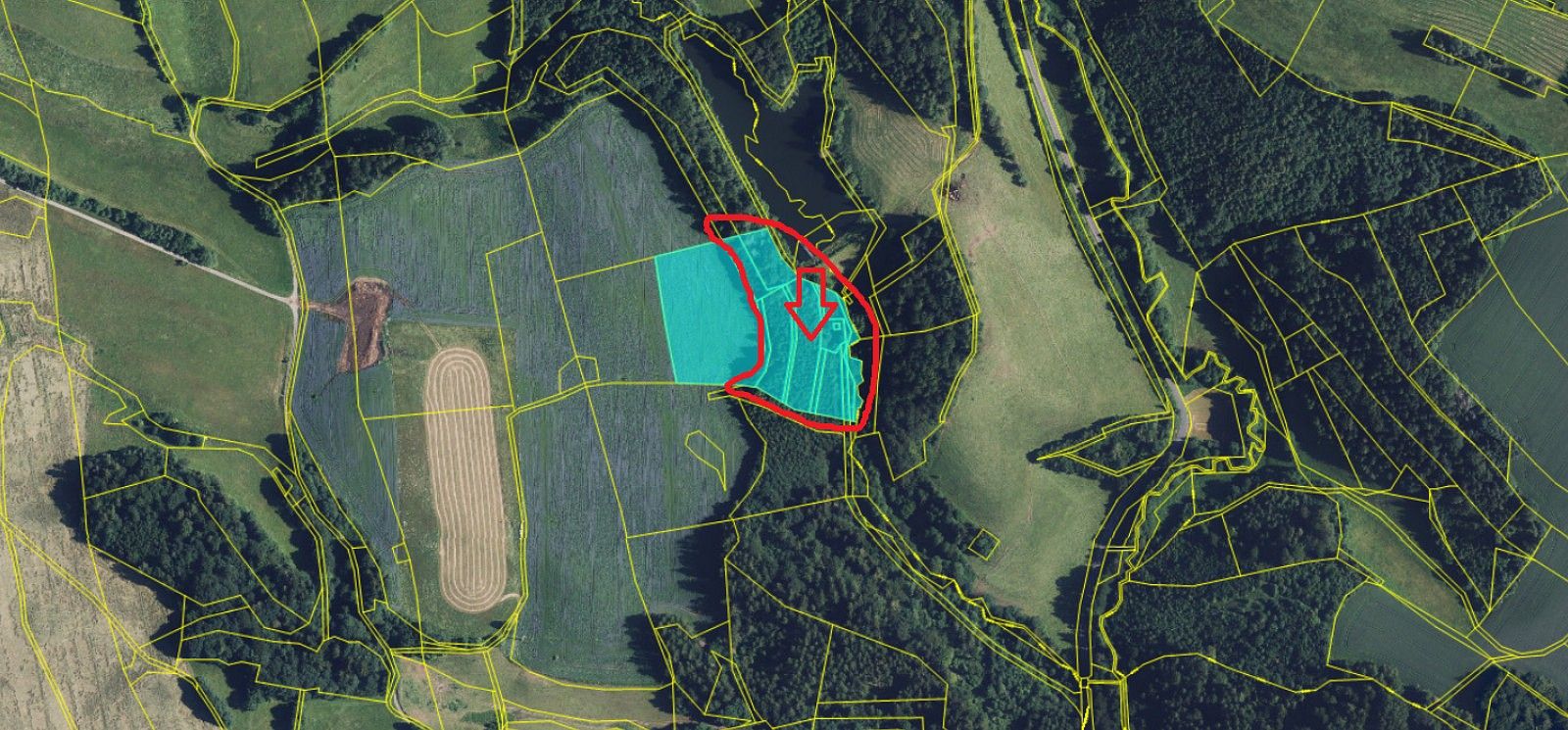 Prodej les - Jedlí, okres Šumperk, Olomoucký kraj - 2