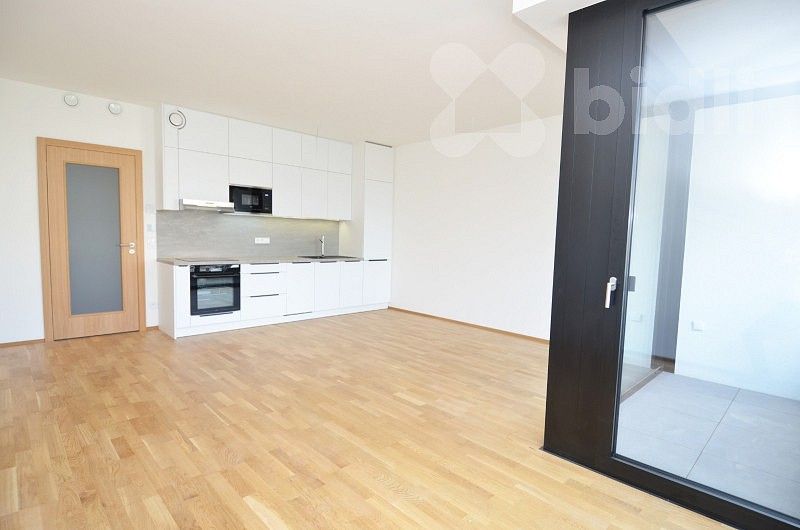1+kk, Praha - Žižkov, okres Praha 3, Hlavní město Praha, 41 m² - 2