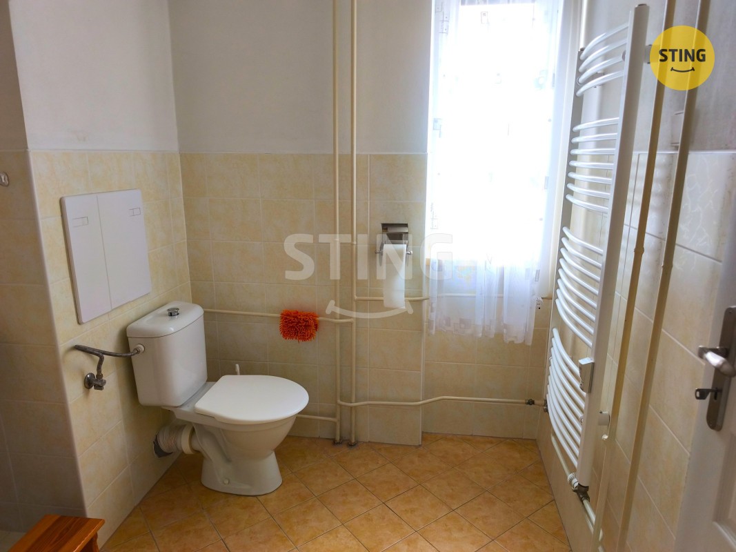 Pronájem byt 3+kk - Dolní Rožínka, 55 m² - 5