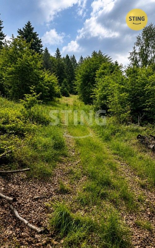 Louky, Košařiska, 6 262 m² - 2