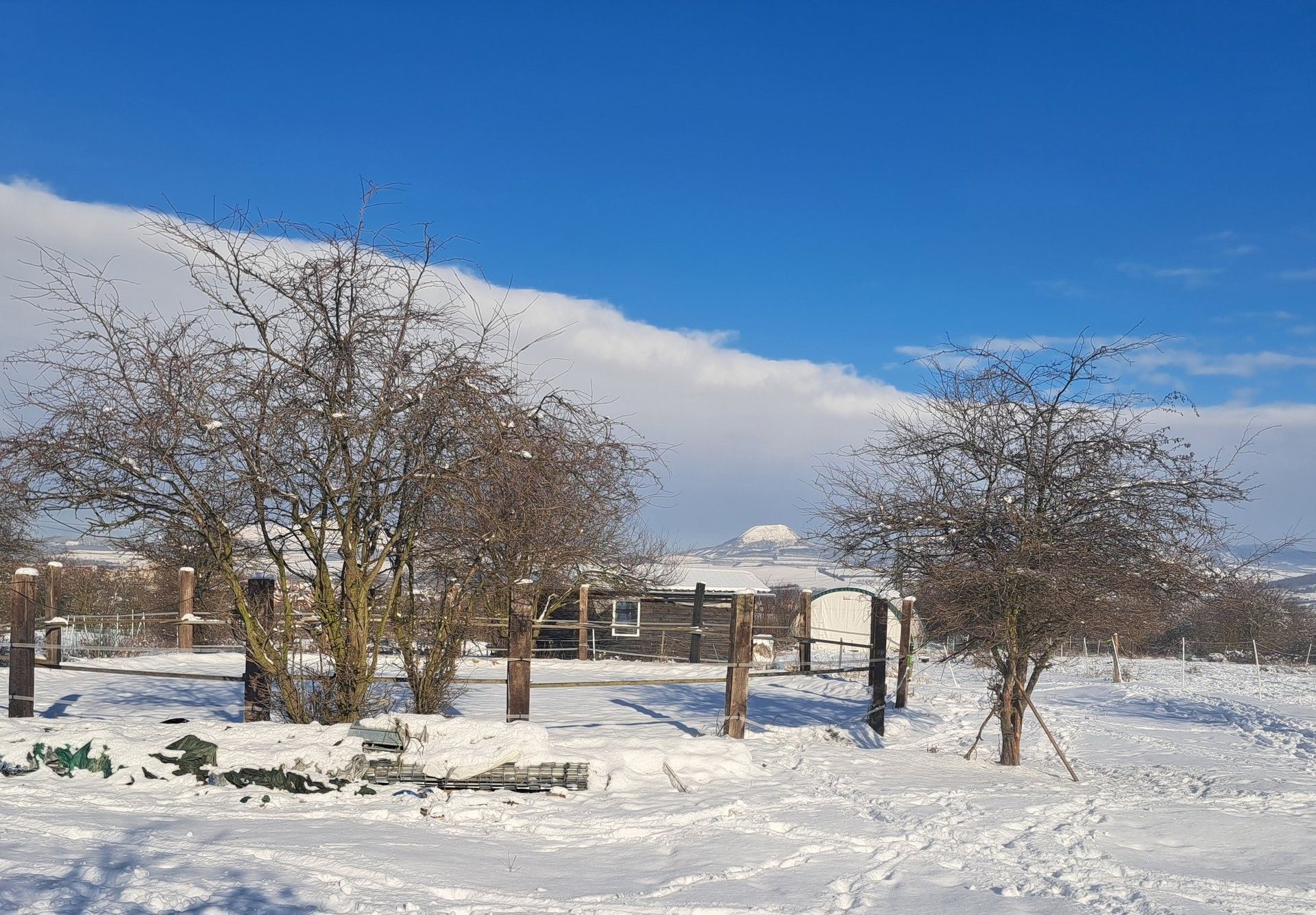 Louka · 5. května, Louny - 3