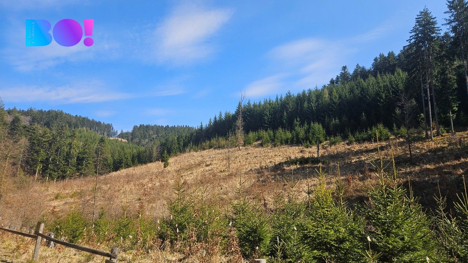 Lesy, Jasenná, 58 310 m² - 1