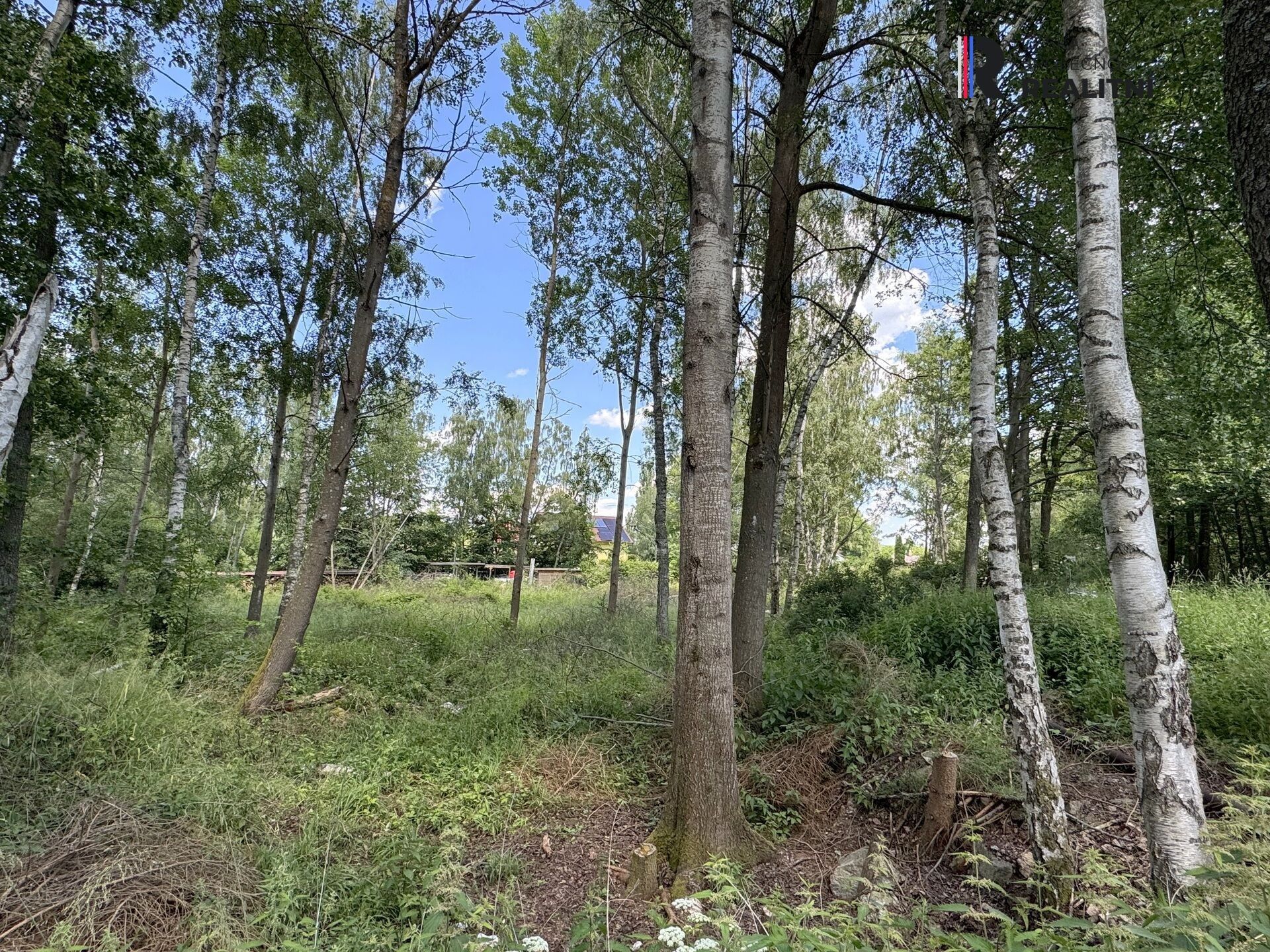 Pozemek · 3 000 m² · K Letišti  , Karlovy Vary Hůrky - 4