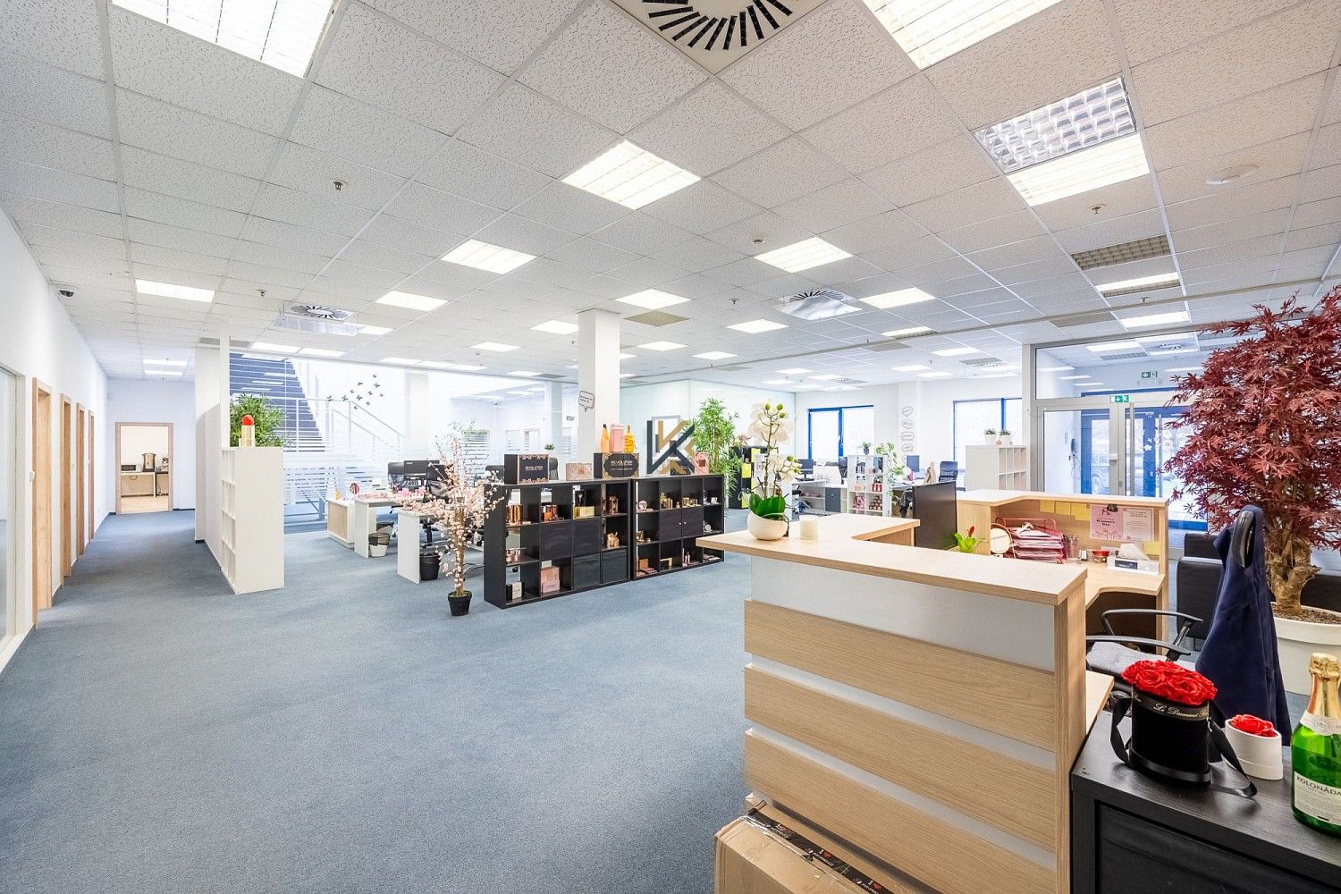 Pronájem obchodní prostory - Praha - Zličín, okres Praha 17, Hlavní město Praha, 1 030 m² - 5