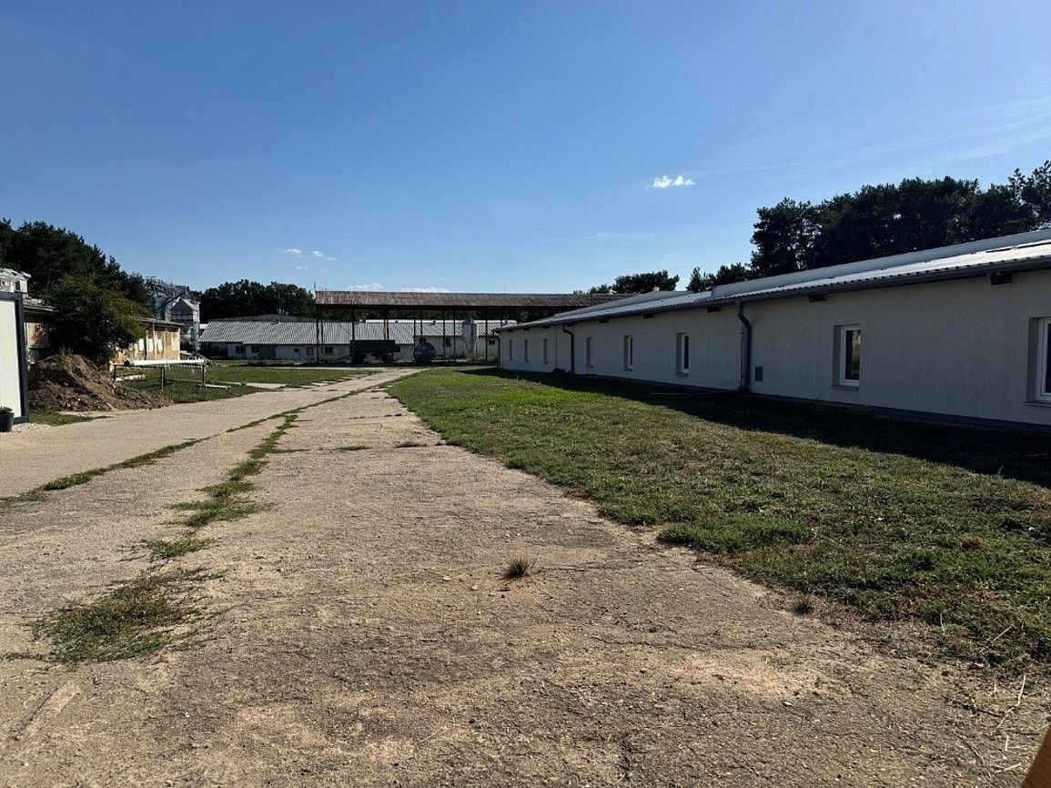 Prodej výrobní prostory - Svatobořice-Mistřín, okres Hodonín, Jihomoravský kraj, 297 m² - 5