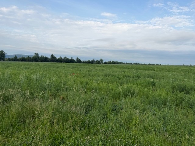 Pozemek pro bydlení · Hranice, 753 01 - 3