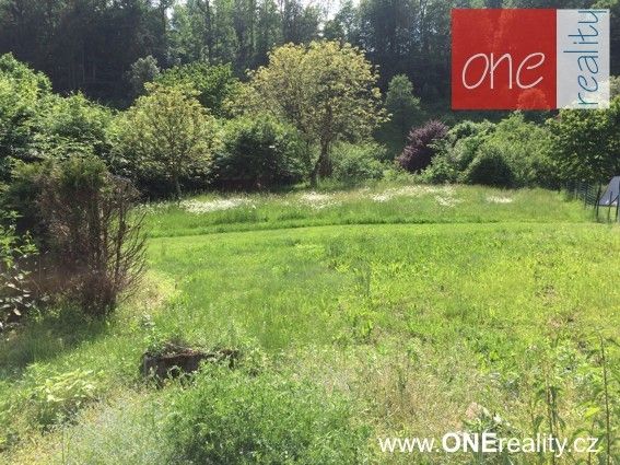 Chata · 752 m² · Česká Metuje - 3