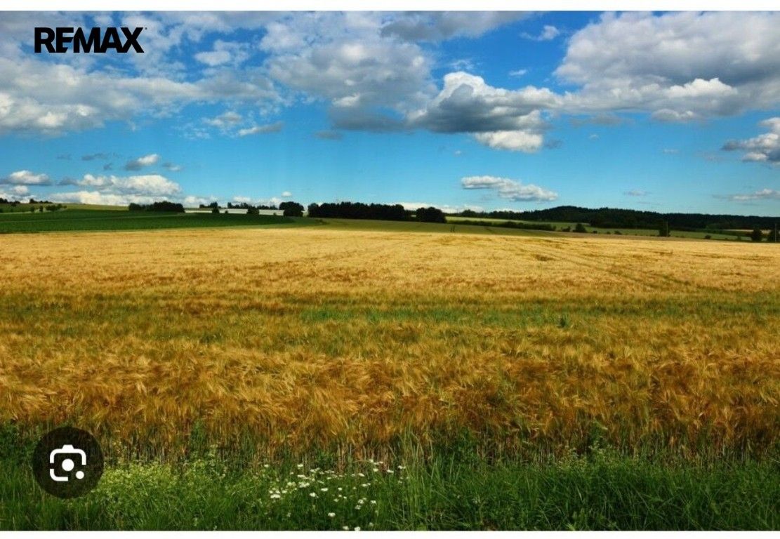 Zemědělský pozemek, 31 550 m²