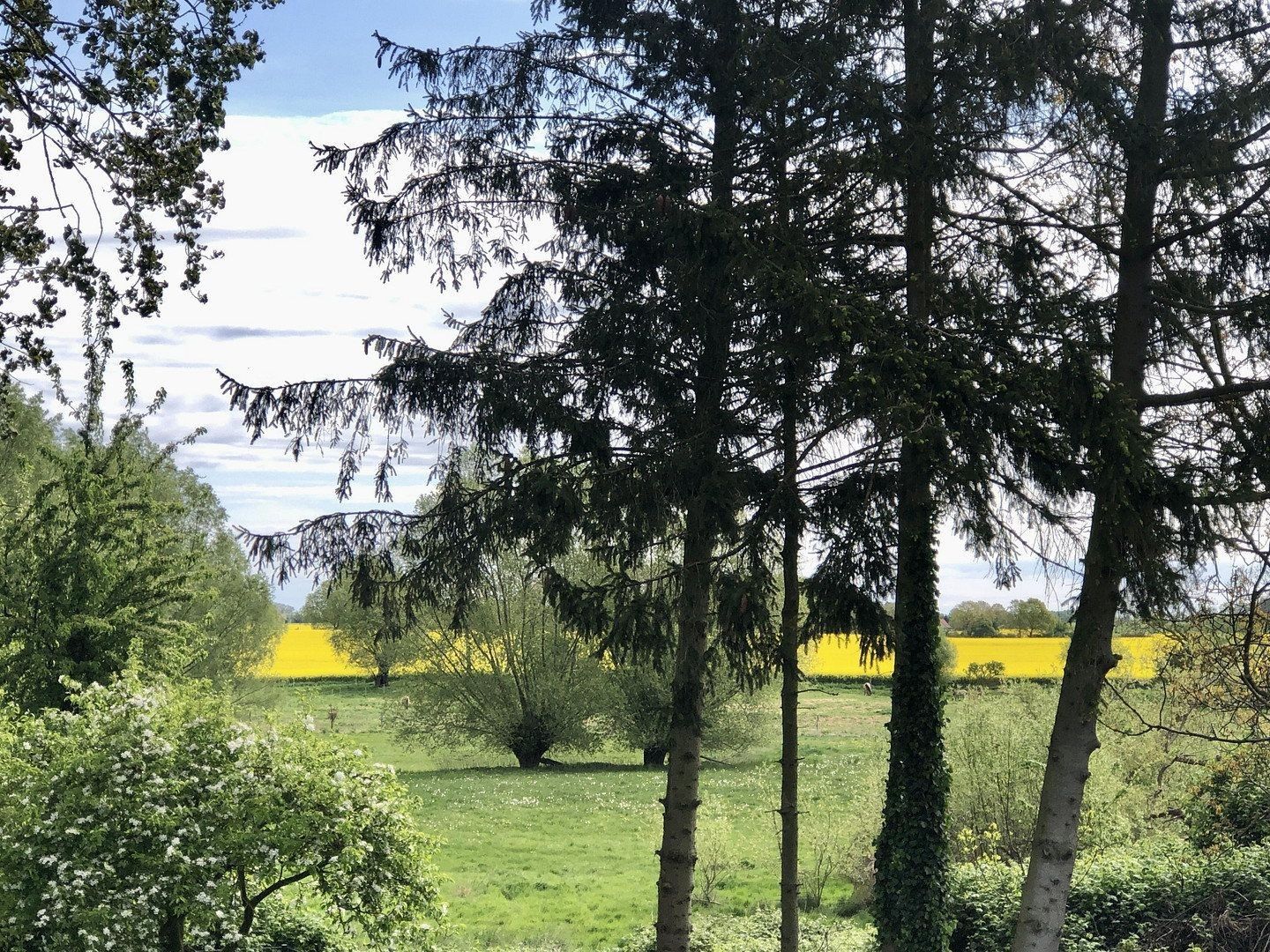 Rodinné domy, , Mecklenburg-Vorpommern, 203 m² - 2