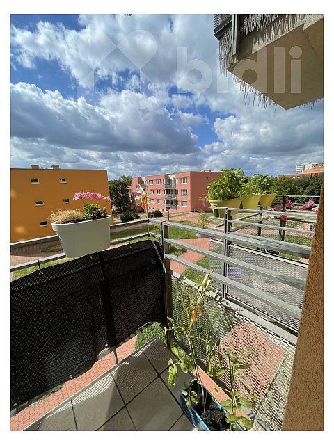 1+kk, Praha - Troja, okres Praha 8, Hlavní město Praha, 39 m² - 1