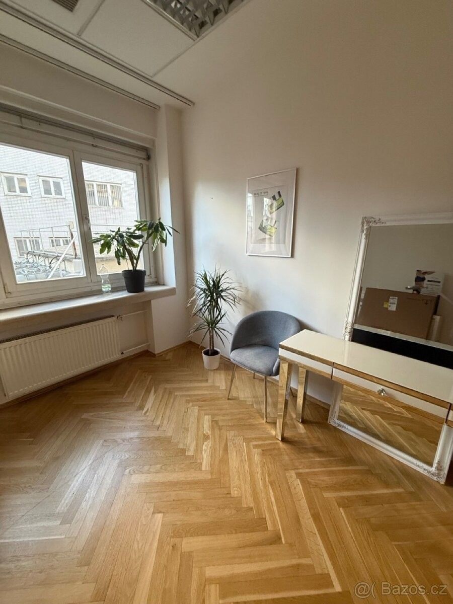 Ostatní, Praha, 110 00