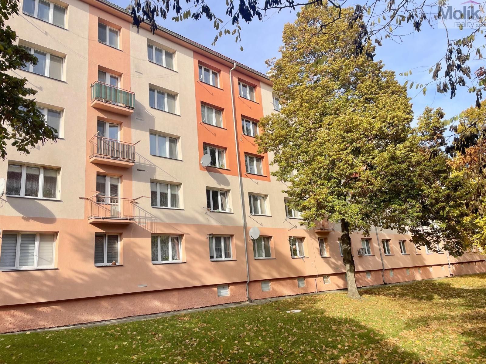 2+1, Petra Jilemnického, Most, 55 m²