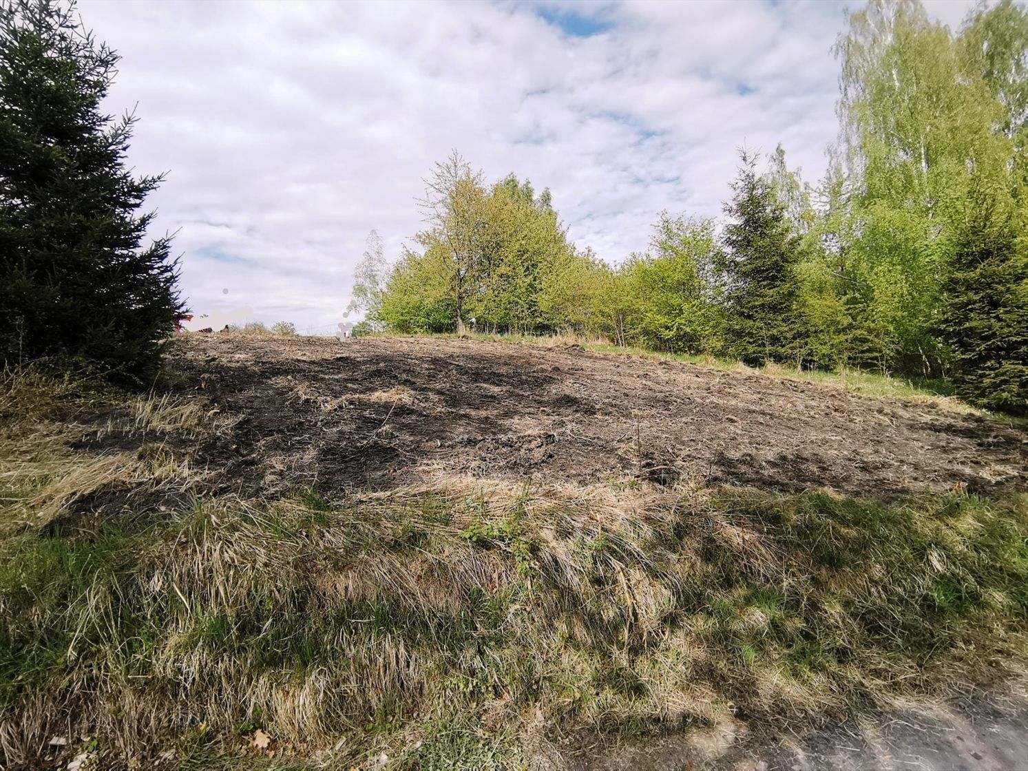 Zahrady, Na Holubíně, Rynholec, 1 044 m²