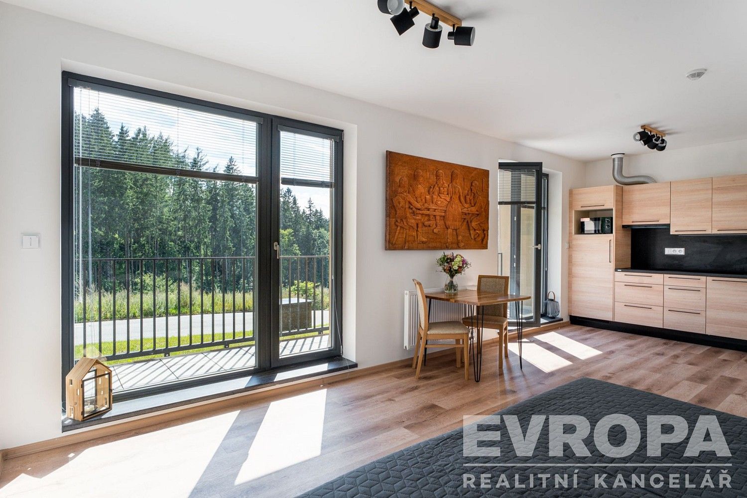 1+kk, Černý Důl, okres Trutnov, Královéhradecký kraj, 33 m²