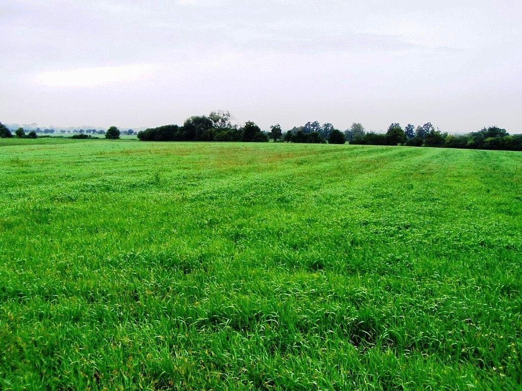 Sklad · 6 000 m² · Jižní, Mohelnice, okres Šumperk - 3