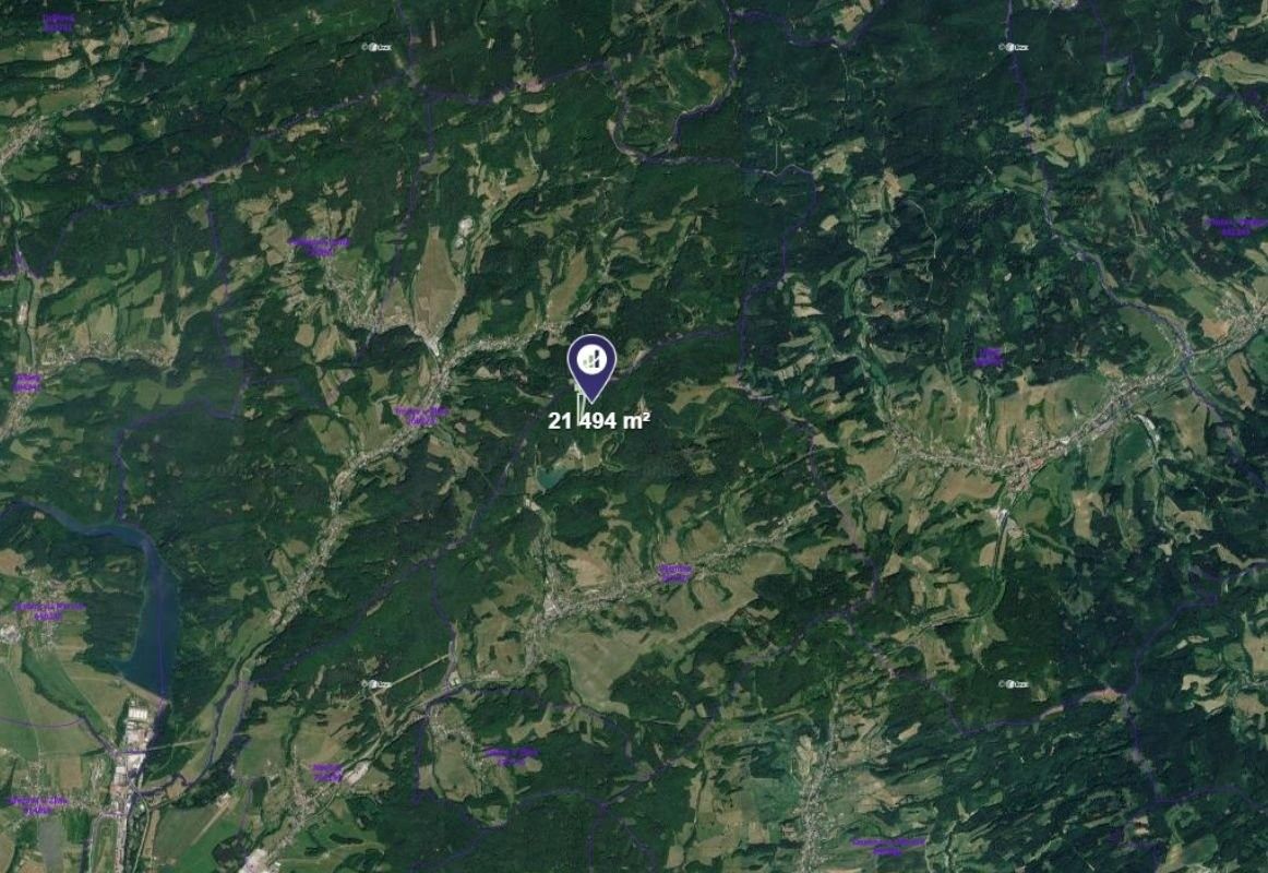 Lesy, Všemina - 2
