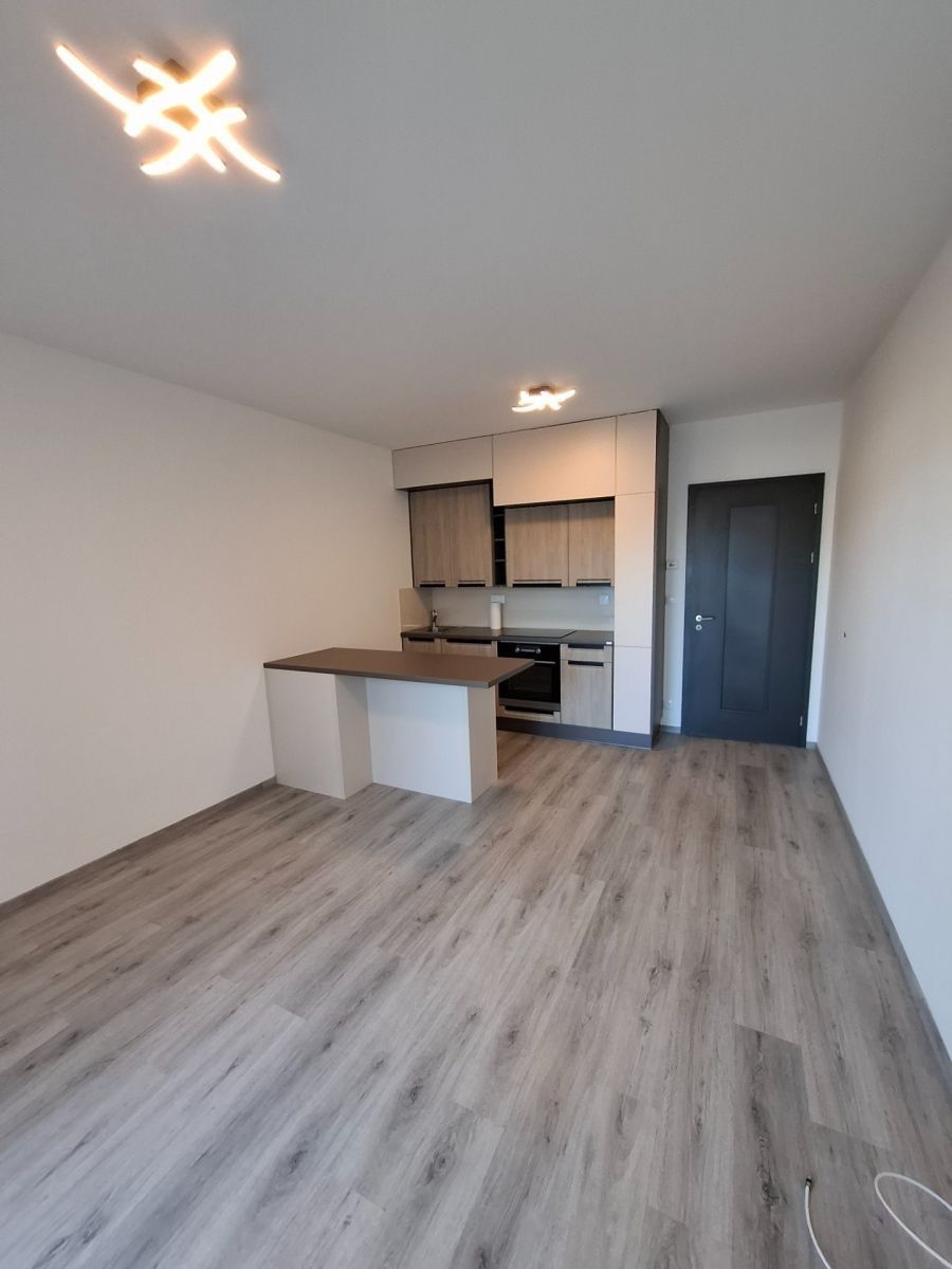 1+kk, Švehlova, Praha - Hostivař, 30 m² - 1