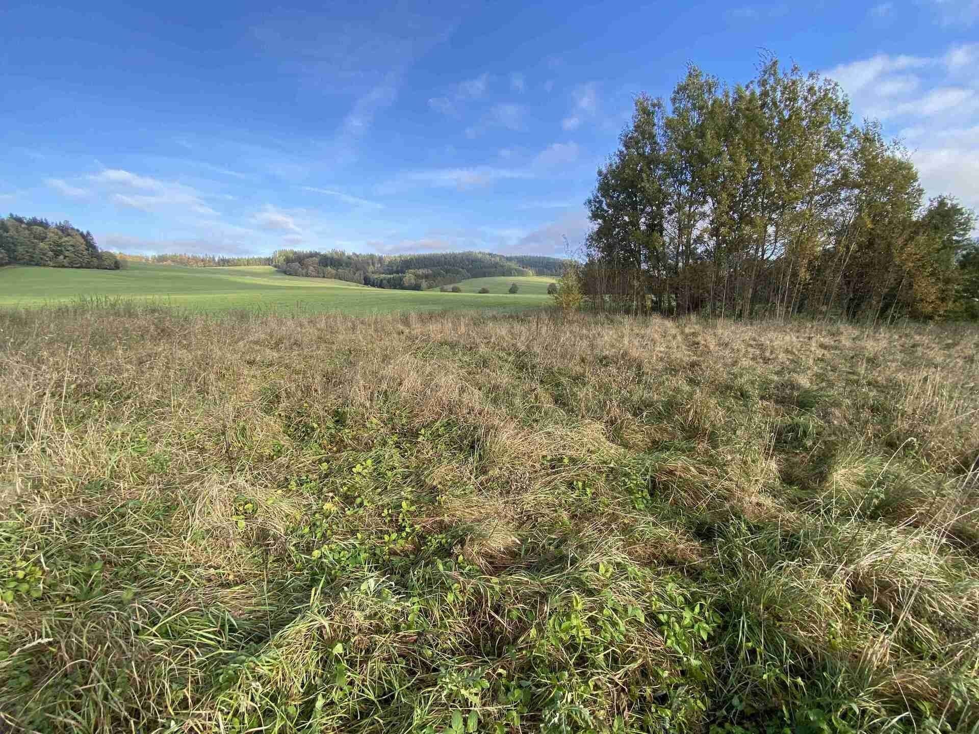 Prodej pozemek pro bydlení - Králíky Horní Lipka, 3 207 m² - 2