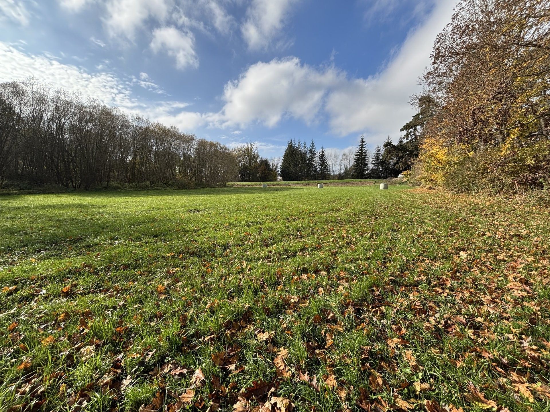 Zemědělský pozemek · Janovice nad Úhlavou Veselí - 4