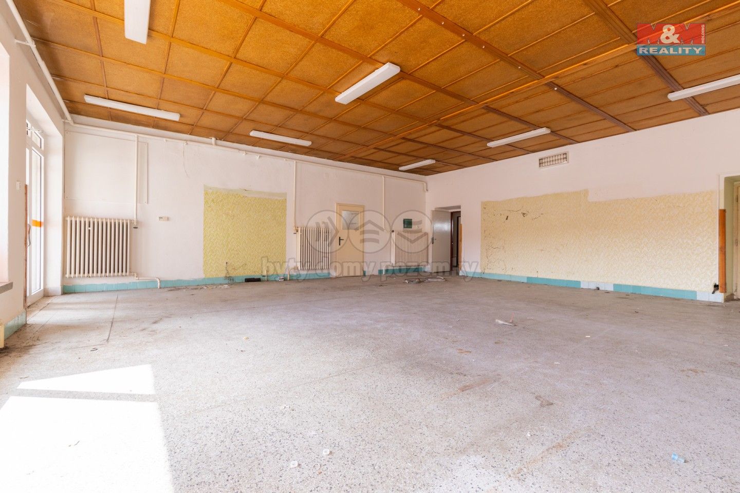 Prodej obchodní prostory - Dolní Němčice, Dačice, 263 m² - 5