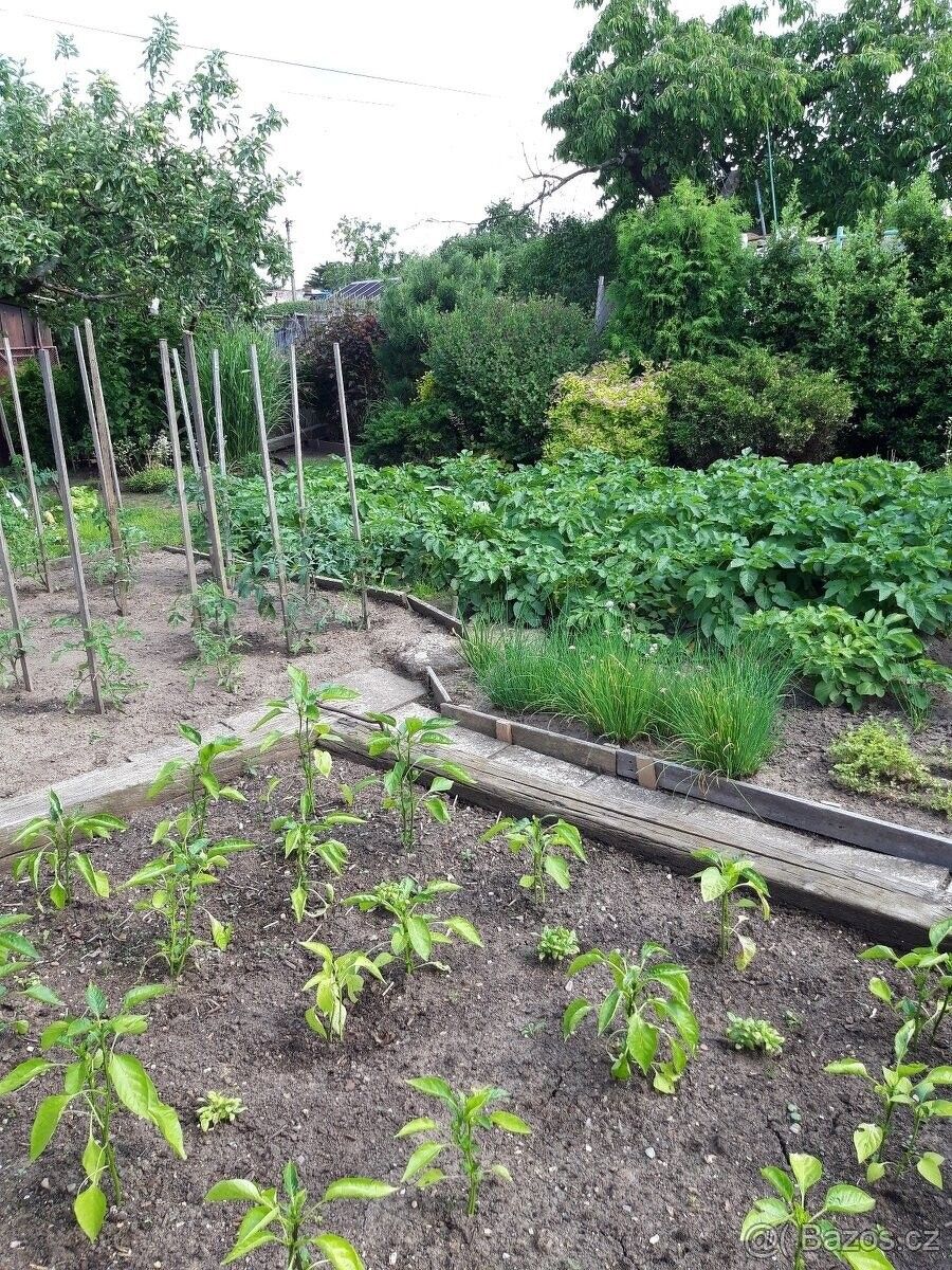 Pronájem zahrada - Hradec Králové, 500 02