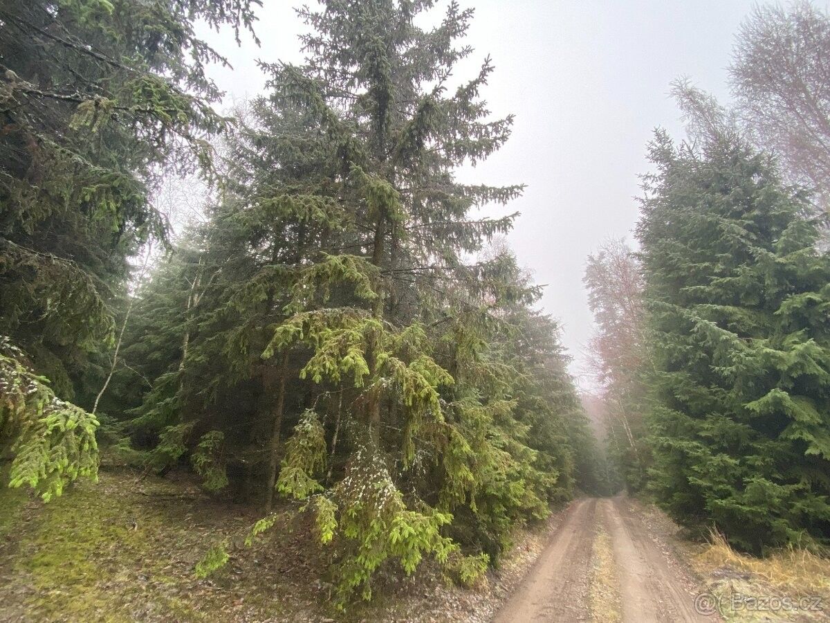 Pozemky pro bydlení, Jevíčko, 569 43