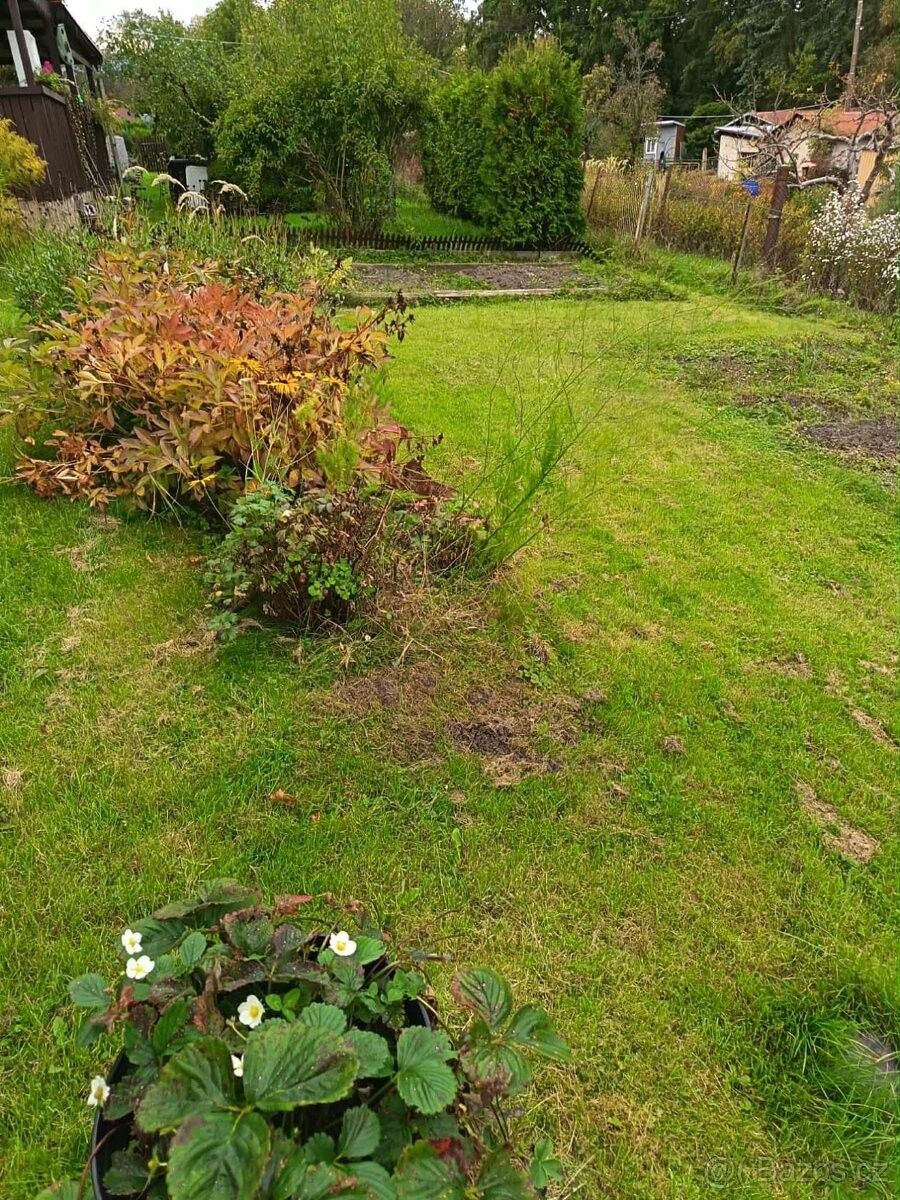 Pronájem zahrada - Benešov nad Ploučnicí, 405 02