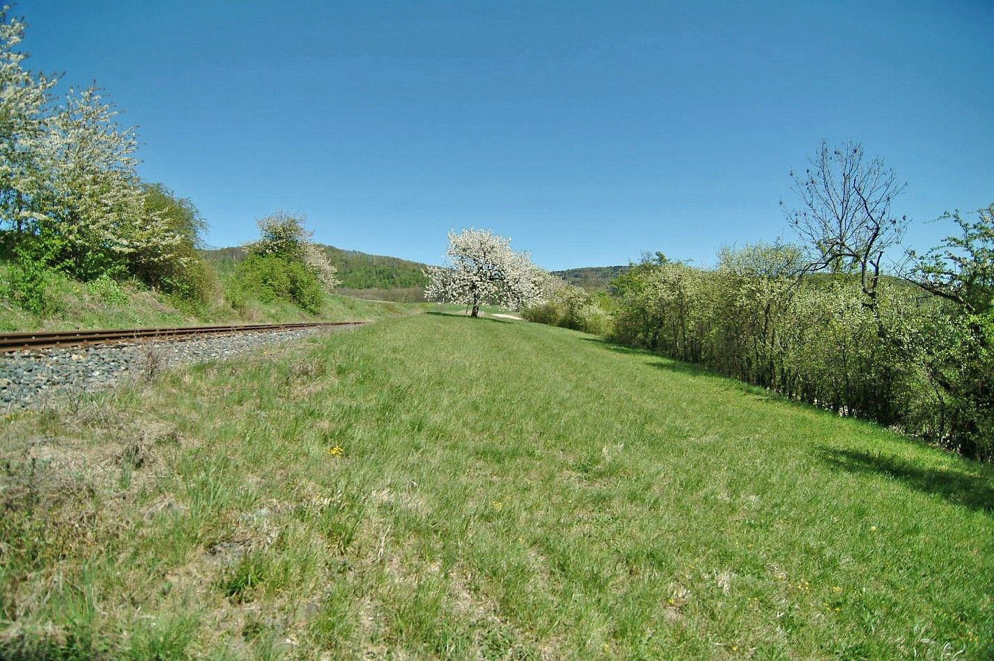 Louka · Kněžnice, okres Jičín, Královéhradecký kraj - 3